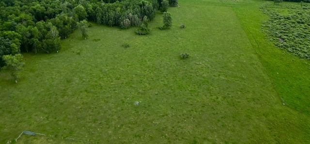 10244 State Highway 87, Blueberry Twp, MN 56464 - bird's eye view
