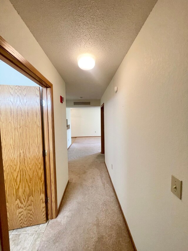 401 County Road 5 Unit 102, Springfield, MN 56087 - hall with light colored carpet and a textured ceiling