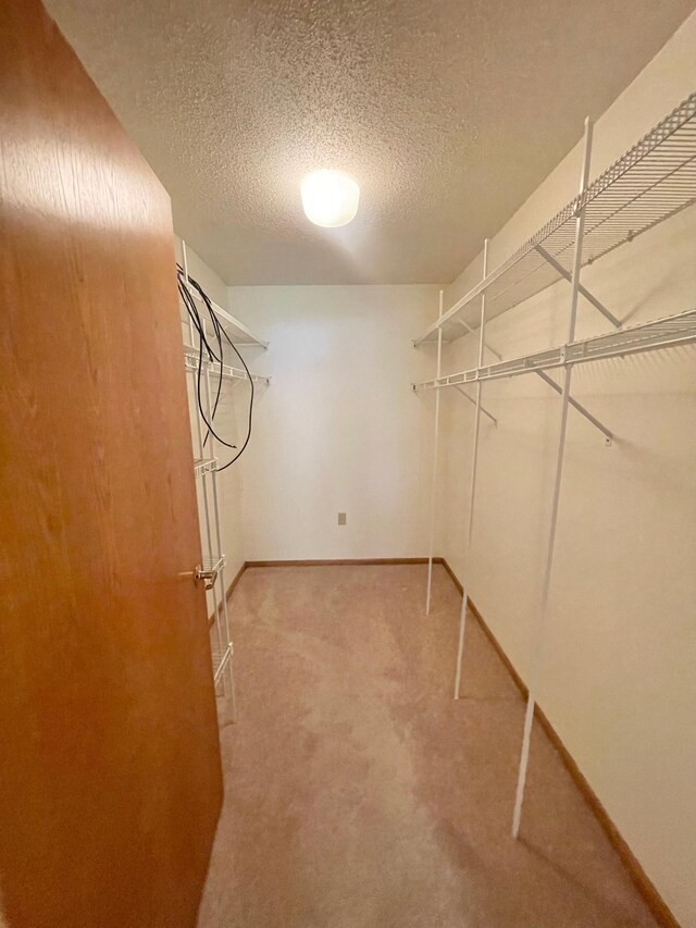 401 County Road 5 Unit 102, Springfield, MN 56087 - spacious closet featuring light colored carpet