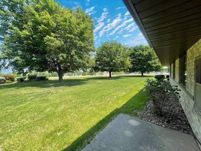 401 County Road 5 Unit 102, Springfield, MN 56087 - view of green lawn