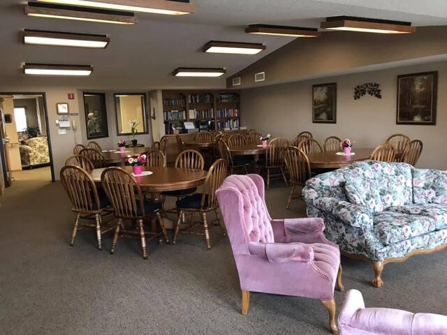 401 County Road 5 Unit 102, Springfield, MN 56087 - carpeted dining area featuring lofted ceiling