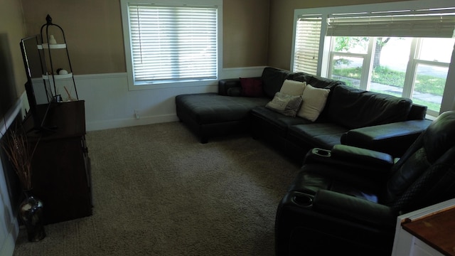 524 1st Ave SE, Wells, MN 56097 - carpeted living room with a wainscoted wall