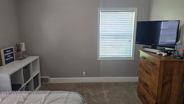 524 1st Ave SE, Wells, MN 56097 - bedroom featuring carpet floors and baseboards