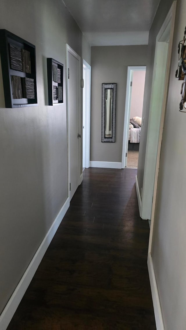 524 1st Ave SE, Wells, MN 56097 - hall featuring dark wood-type flooring