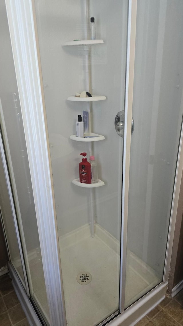 524 1st Ave SE, Wells, MN 56097 - bathroom with a stall shower