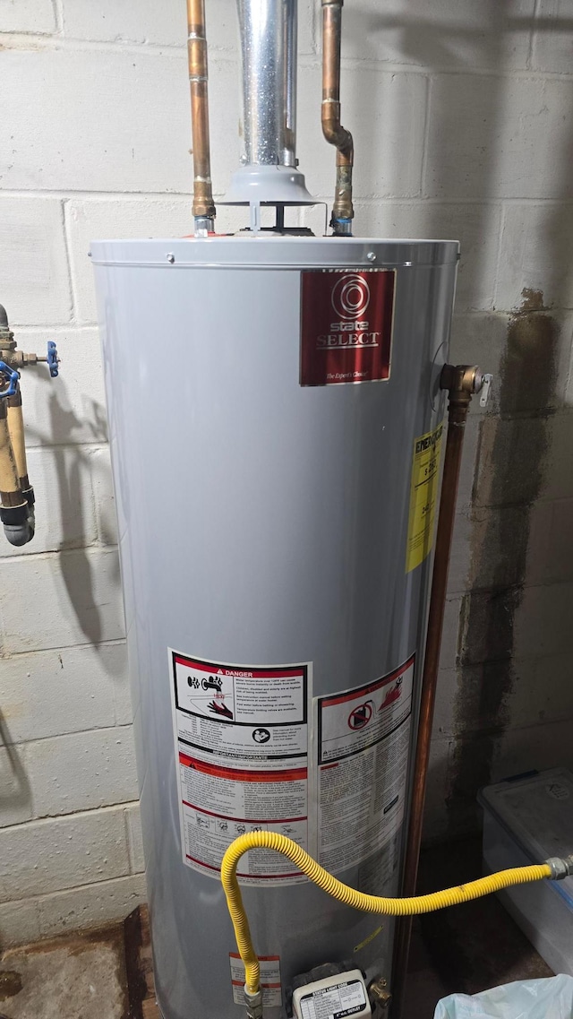 524 1st Ave SE, Wells, MN 56097 - utilities featuring gas water heater
