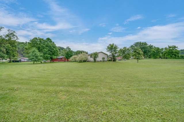 206 W St, Plum City, WI 54761 - photo 4