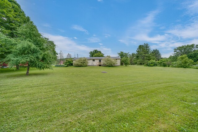 206 W St, Plum City, WI 54761 - photo 5
