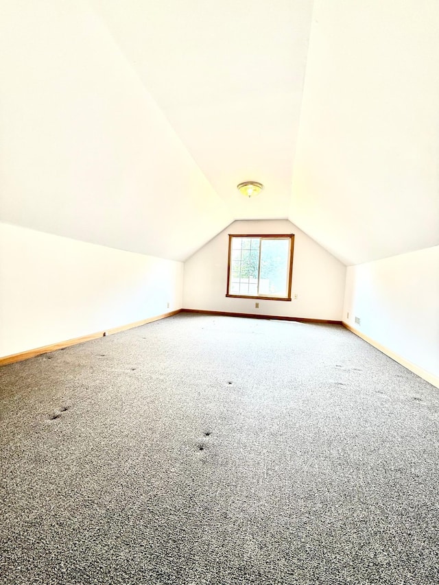 2112 Manitou Ave, Saint Paul, MN 55119 - bonus room featuring vaulted ceiling and carpet flooring