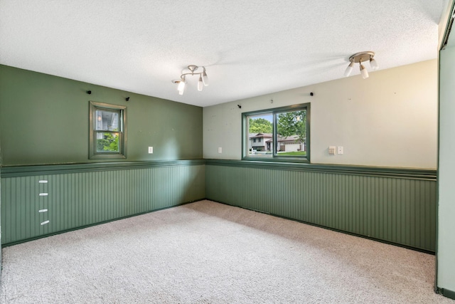 6636 Lancaster Ln N, Maple Grove, MN 55369 - spare room with carpet, wainscoting, and a textured ceiling