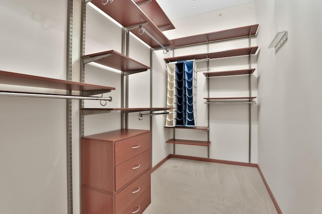 17417 72nd Ave N Unit 205, Maple Grove, MN 55311 - walk in closet featuring light colored carpet