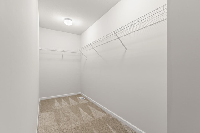 732 Wildflower Ln, Chanhassen, MN 55317 - walk in closet featuring carpet flooring