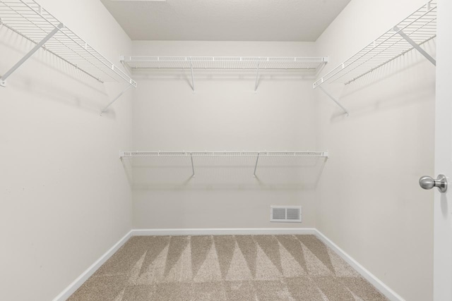 732 Wildflower Ln, Chanhassen, MN 55317 - walk in closet with carpet floors