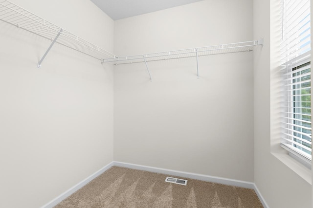732 Wildflower Ln, Chanhassen, MN 55317 - walk in closet with carpet floors