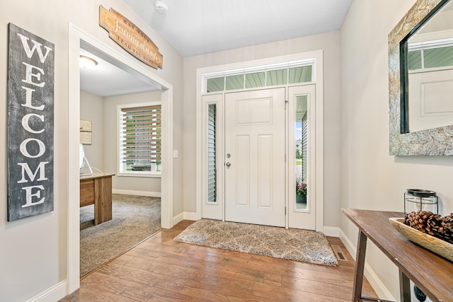 19550 Albany Cir NW, Elk River, MN 55330 - entryway with hardwood / wood-style flooring and baseboards
