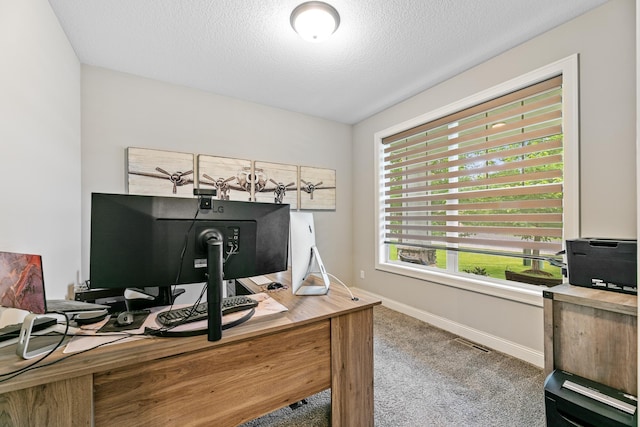 19550 Albany Cir NW, Elk River, MN 55330 - office area featuring carpet and a textured ceiling