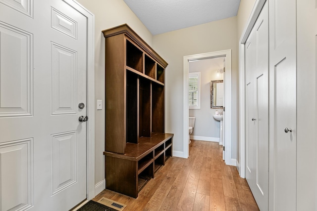 19550 Albany Cir NW, Elk River, MN 55330 - mudroom featuring light wood finished floors and baseboards