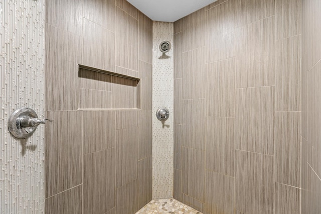 19550 Albany Cir NW, Elk River, MN 55330 - full bathroom with tiled shower