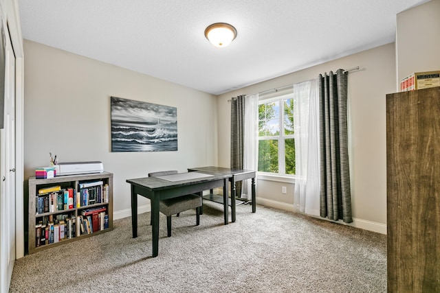 19550 Albany Cir NW, Elk River, MN 55330 - office with carpet flooring and baseboards