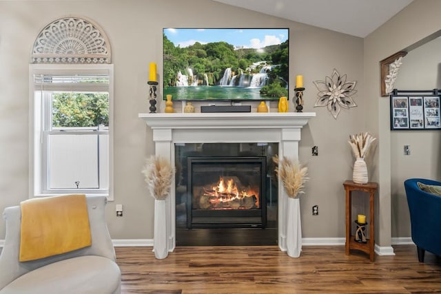 722 Hilltop Dr, Taylors Falls, MN 55084 - living area with wood finished floors, a glass covered fireplace, and vaulted ceiling
