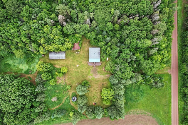 19316 Miller Rd, Dell Grove Twp, MN 55072 - aerial overview of property's location
