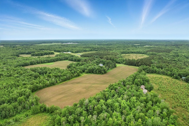 19316 Miller Rd, Dell Grove Twp, MN 55072 - drone / aerial view of a forest