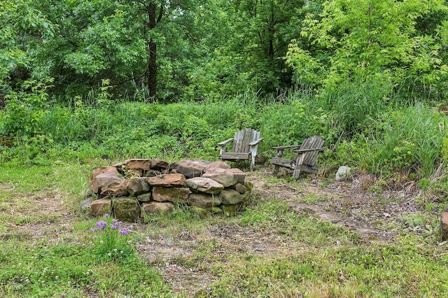 19316 Miller Rd, Dell Grove Twp, MN 55072 - view of yard with a fire pit