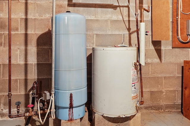 19316 Miller Rd, Dell Grove Twp, MN 55072 - utilities featuring gas water heater
