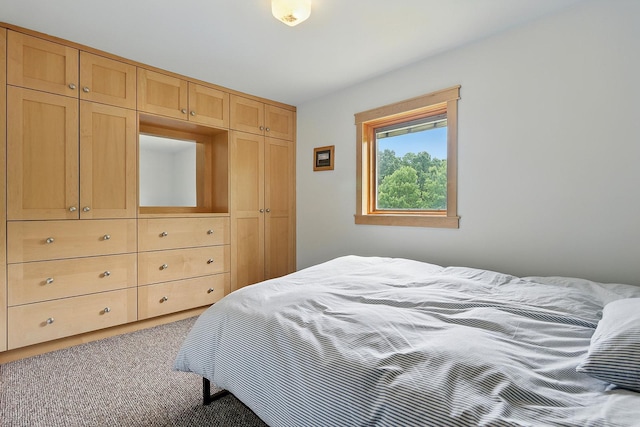 19316 Miller Rd, Dell Grove Twp, MN 55072 - carpeted bedroom with a closet
