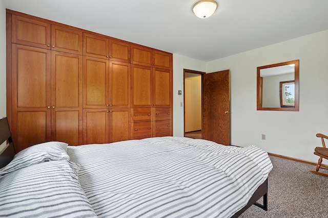19316 Miller Rd, Dell Grove Twp, MN 55072 - carpeted bedroom featuring baseboards and a closet