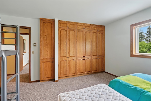 19316 Miller Rd, Dell Grove Twp, MN 55072 - bedroom with carpet flooring and baseboards