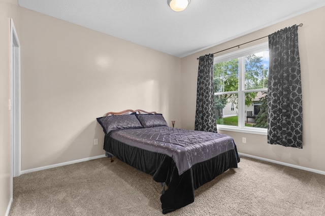 1437 131st Dr NE, Blaine, MN 55449 - bedroom featuring carpet floors and baseboards