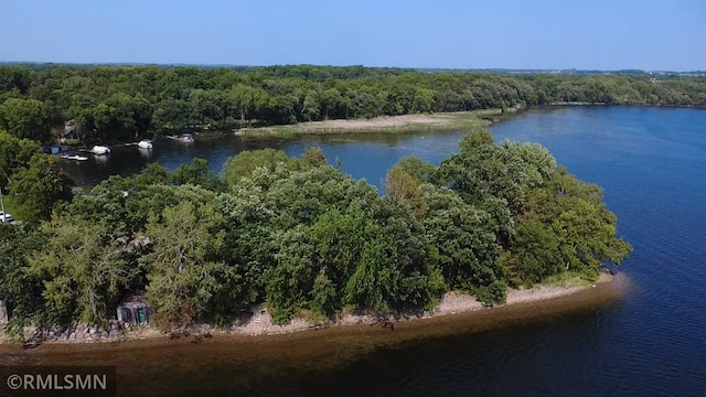 9429 Jeske Ave NW, Corinna Twp, MN 55302 - water view featuring a heavily wooded area