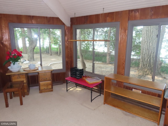 9429 Jeske Ave NW, Corinna Twp, MN 55302 - home office featuring wood walls, plenty of natural light, and carpet