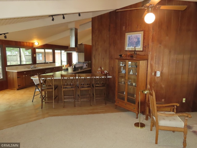 9429 Jeske Ave NW, Corinna Twp, MN 55302 - dining area featuring wood walls, vaulted ceiling, a ceiling fan, light wood-style flooring, and rail lighting