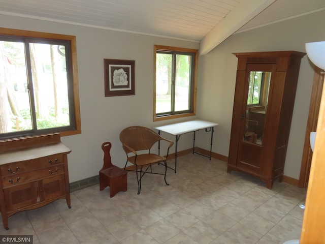 9429 Jeske Ave NW, Corinna Twp, MN 55302 - sitting room with baseboards and vaulted ceiling