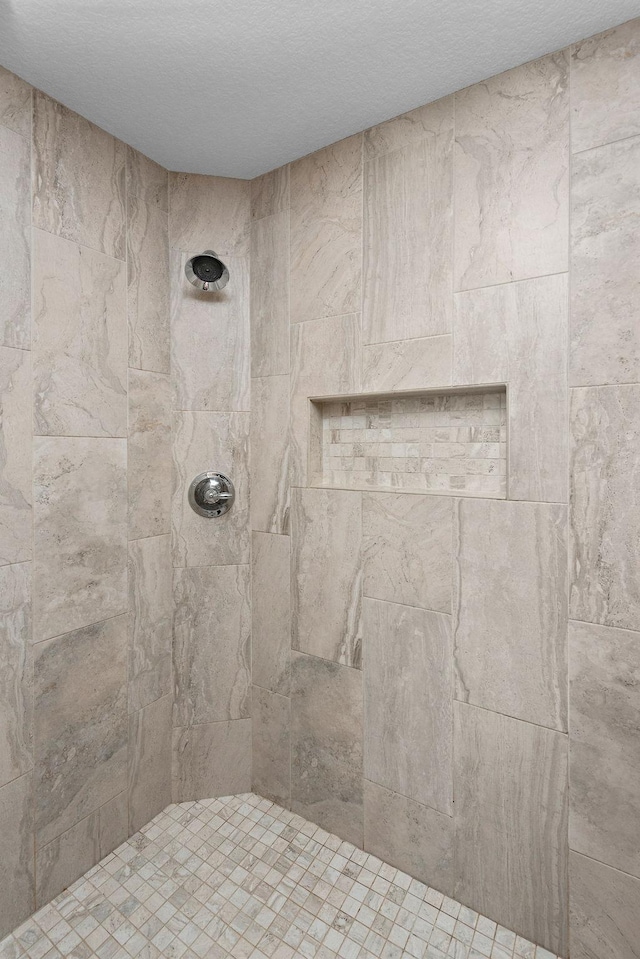 14675 77th St NE, Otsego, MN 55330 - full bath with a tile shower