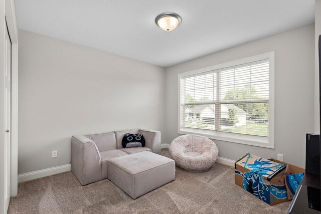 14675 77th St NE, Otsego, MN 55330 - sitting room with baseboards and carpet