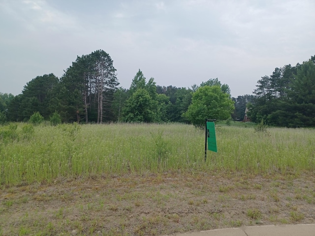 LOT4BLOCK1 Austin St NE, Ham Lake, MN 55304