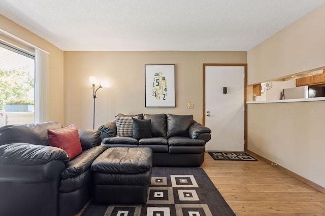 2254 Benson Ave Unit C, Saint Paul, MN 55116 - living room featuring wood finished floors and a textured ceiling