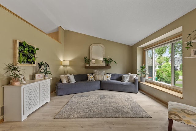 5278 River Wood Dr, Savage, MN 55378 - living area featuring lofted ceiling and wood finished floors