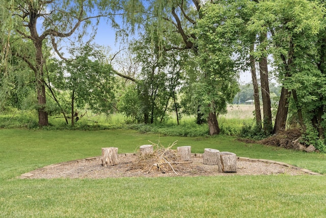 5278 River Wood Dr, Savage, MN 55378 - view of grassy yard