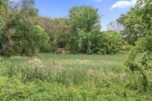 5278 River Wood Dr, Savage, MN 55378 - view of woods