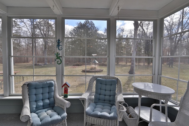 1138 Wintergreen Ln NE, Bemidji, MN 56601 - view of sunroom