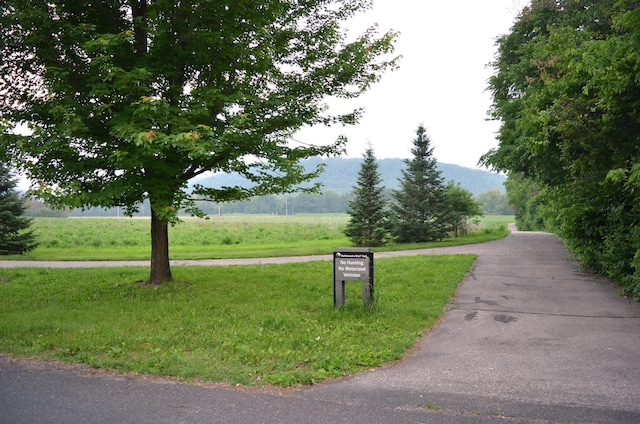 30155 Lakeview Ave, Wacouta Twp, MN 55066 - view of property's community featuring a mountain view