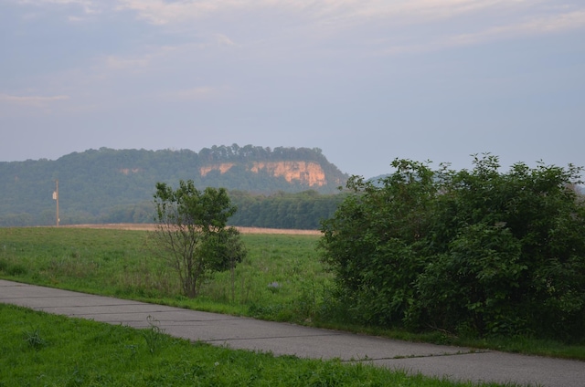 30155 Lakeview Ave, Wacouta Twp, MN 55066 - view of mountain background featuring rural landscape