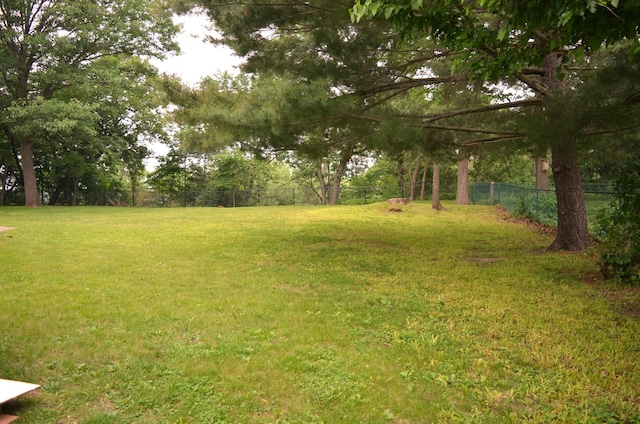 30155 Lakeview Ave, Wacouta Twp, MN 55066 - view of yard