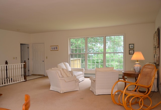 30155 Lakeview Ave, Wacouta Twp, MN 55066 - living area featuring carpet flooring and baseboard heating