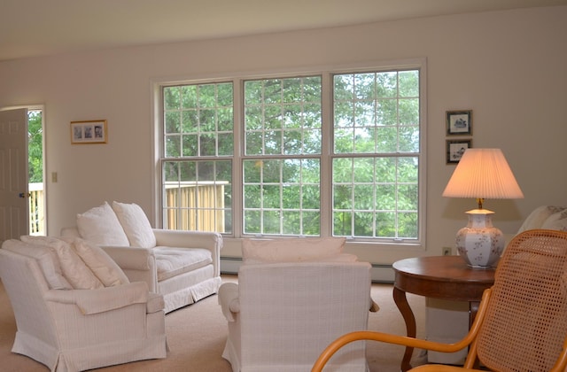 30155 Lakeview Ave, Wacouta Twp, MN 55066 - living area with plenty of natural light and baseboard heating