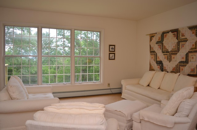 30155 Lakeview Ave, Wacouta Twp, MN 55066 - living area with baseboard heating